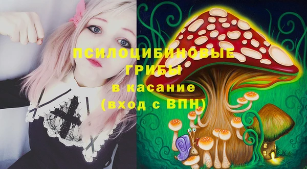 тгк Михайлов