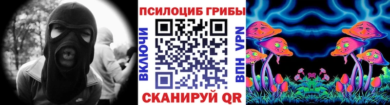 Купить  Чкаловск  Галлюциногенные грибы прущие грибы