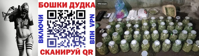 Марихуана план  Купить закладки  Чкаловск 